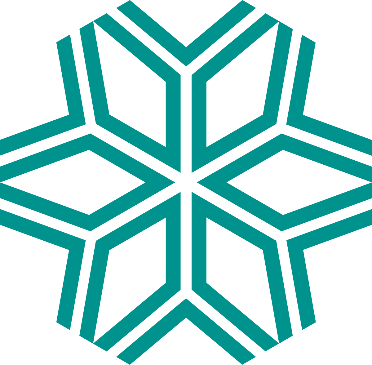 113年度計畫成果及亮點